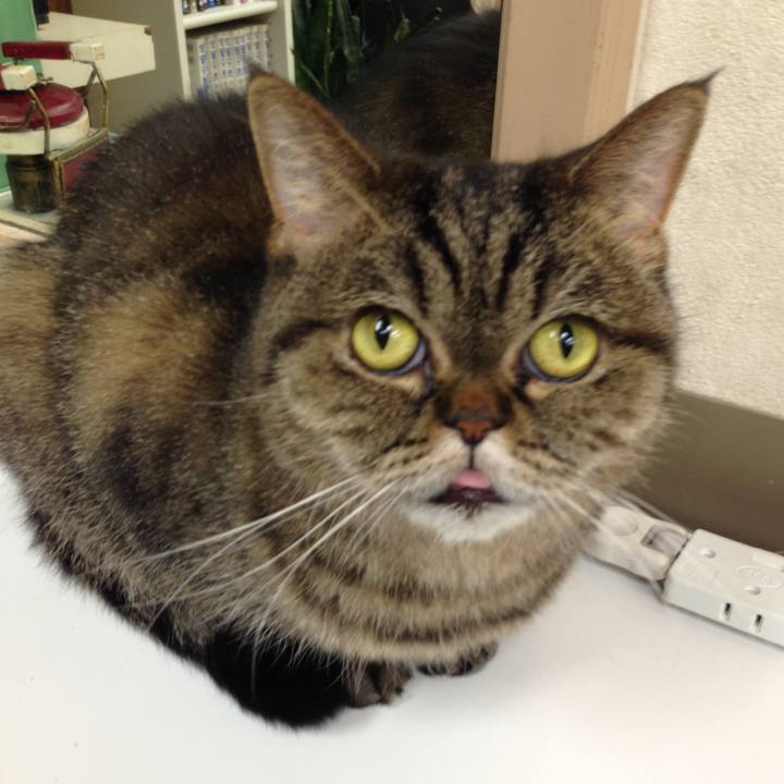 62db04d4 a7cd 4152 ae1f d2059859de10