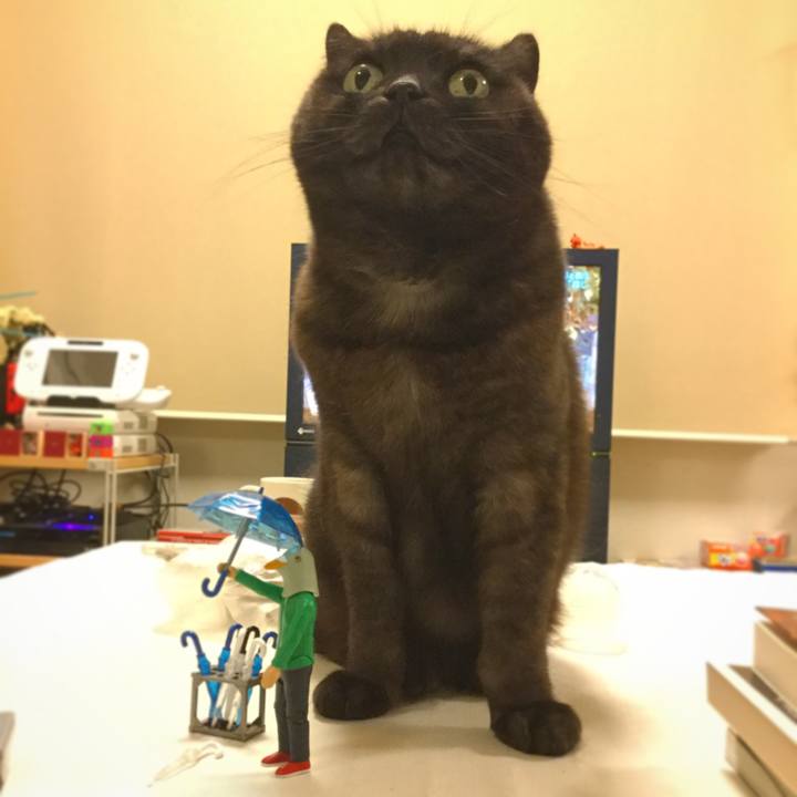 62db30d9 1753 4f8f 8469 501c2134bdd3