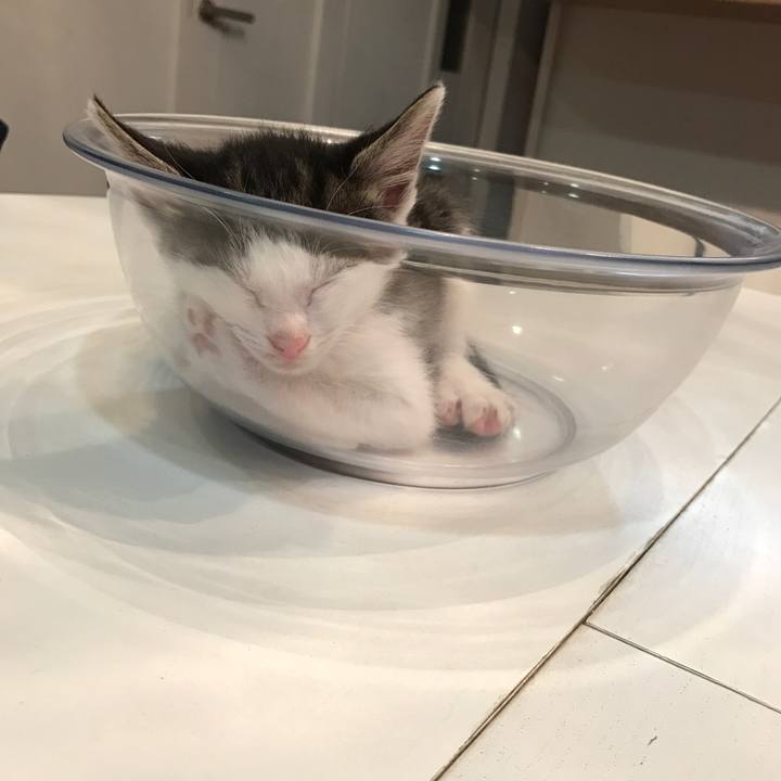 62db46eb bafd 4645 8a8c 62c0711ba5cb