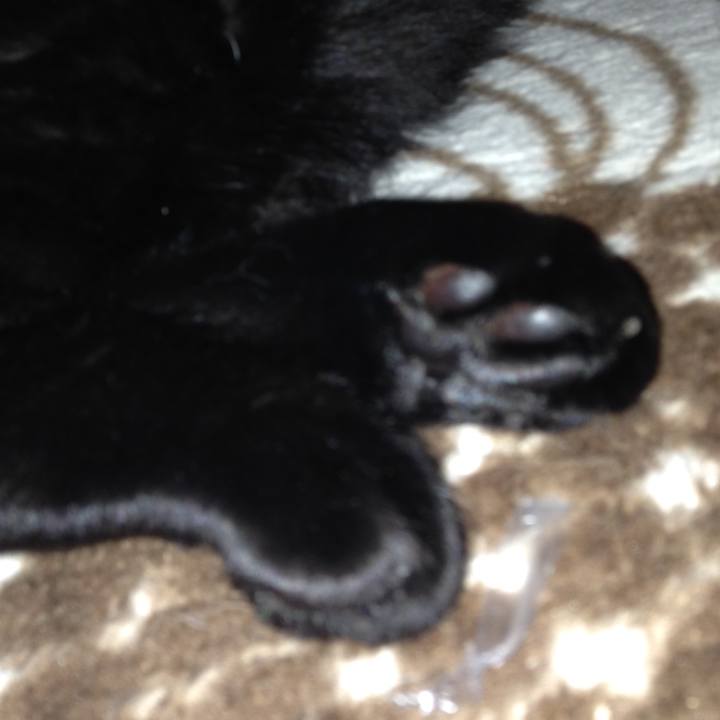 62db7e0e 97cf 43b8 a9f2 86bf5bb30027