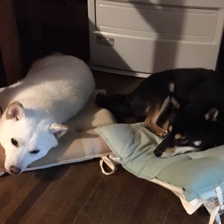 62dbad30 e824 42e9 9055 544dbe0eba7f