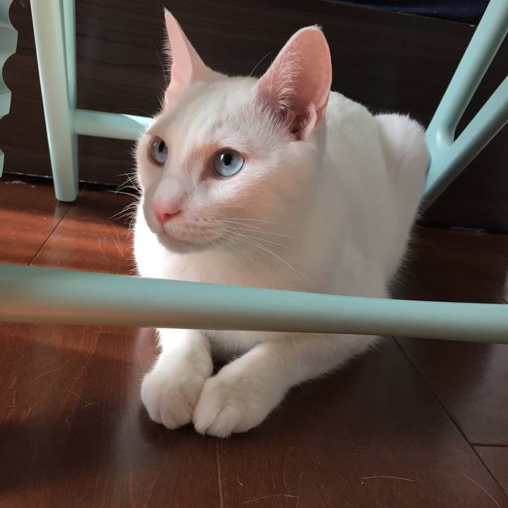 62dbc523 e208 4b35 a5b6 a213f90b708d