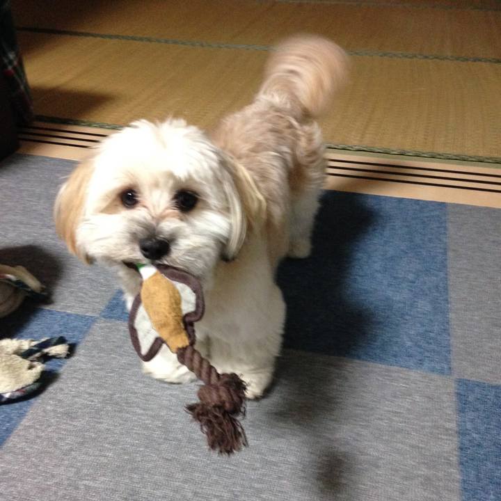 62dc7fa9 6fc7 4b8c 95b6 ccc0786f865d