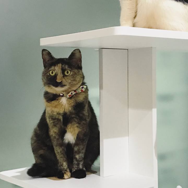 62dca7f1 a56d 45c5 879a da5771f4731b