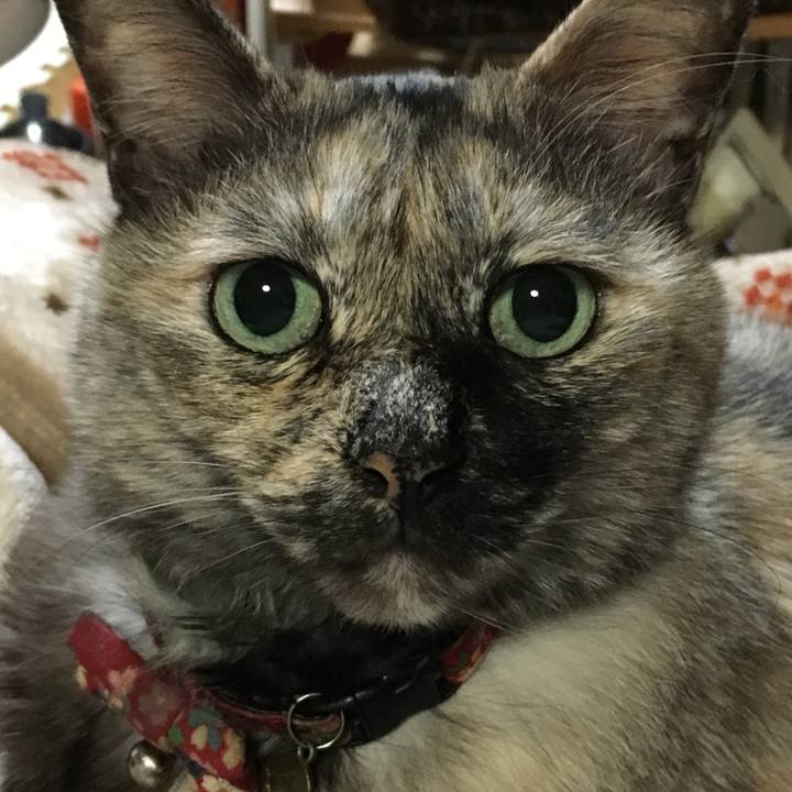 62dcb3c1 a5a2 4f64 8c9e e9d4be2ab4e8