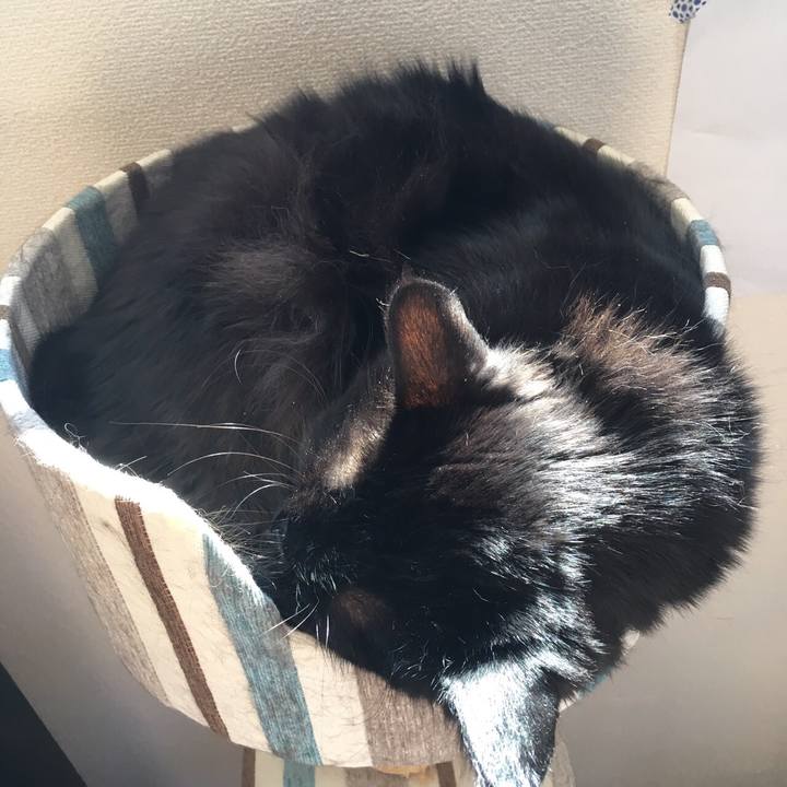 62dcc52c 29d7 4b03 b39d 715326b039ca