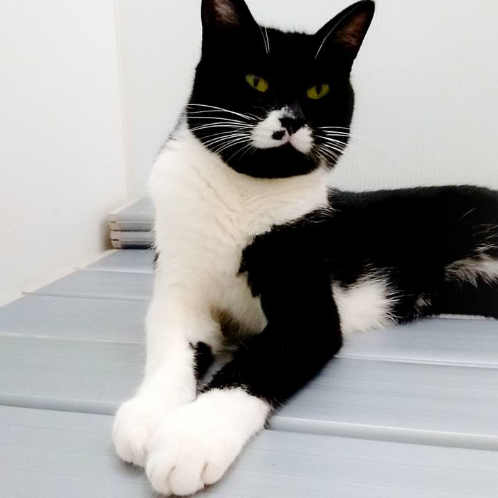 62dcc543 965f 4ba3 977a 422c450025e5