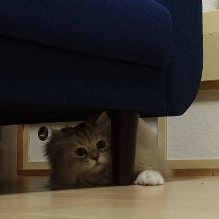 62dce847 3711 4458 b5e2 3c254106e7d1