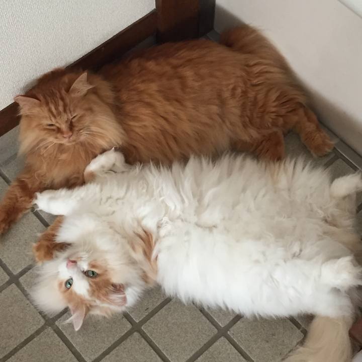 62dd416d db0d 4ea3 93ba c971fdd59100