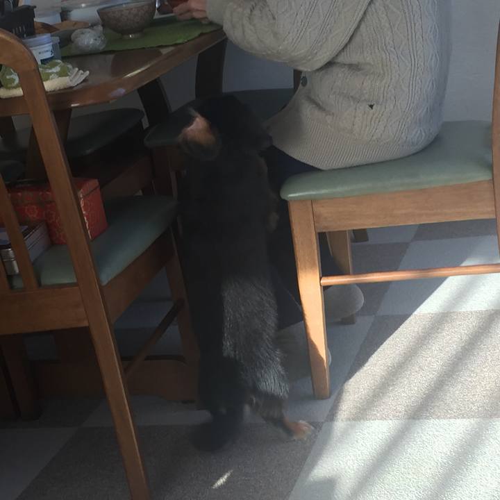 62dd6e87 33b9 455a 94f9 2976eae7f2e8