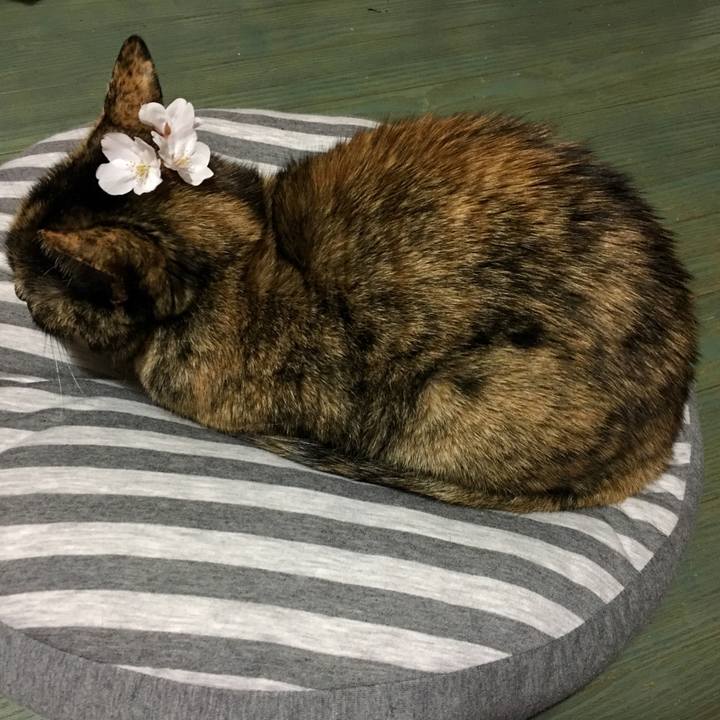 62dd9d0e f860 47f2 a233 bc2734e8d73c