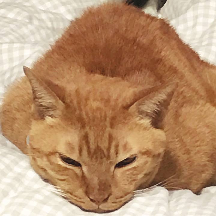 62de658f d007 4e9d 8708 2058aedbe662