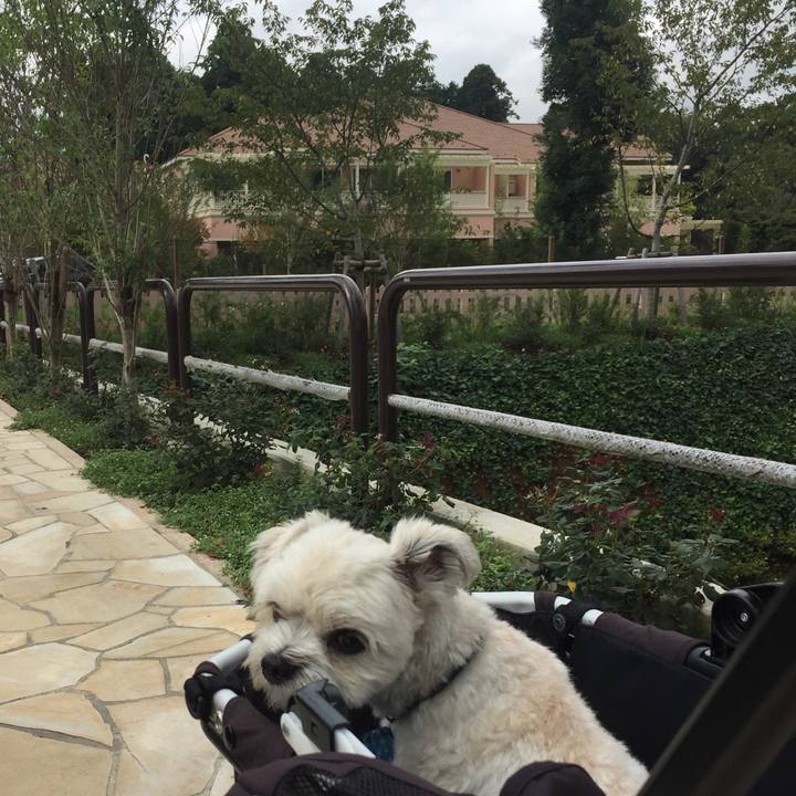 62dee50e bf16 4c48 8f29 b37b77b7365a