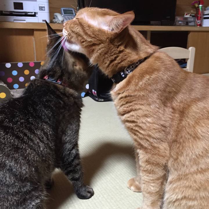 62df0726 3f2c 46bf 8b26 1b5036e99fc7