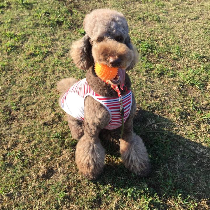 62dfcfa3 6c5e 4cf5 af1d 007a6ca836fe