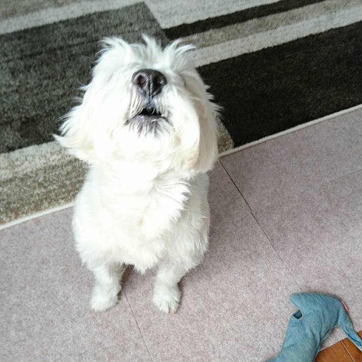 62e0b760 7e4a 4350 96ae baa3f785bb77