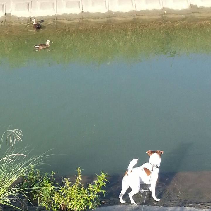 62e0be04 2470 477a 89d0 3aaa997ced04