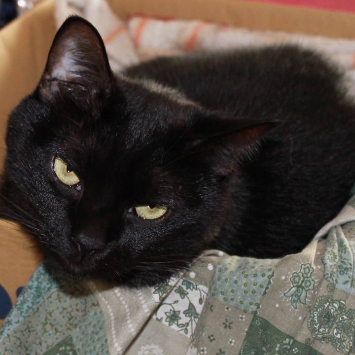 62e0c639 3fec 417a 9cae 88911e071214