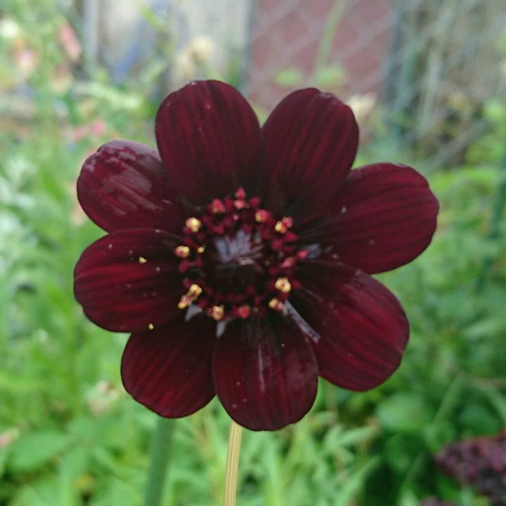 62e0e3ce f721 4fb4 8c17 8dee21931b85