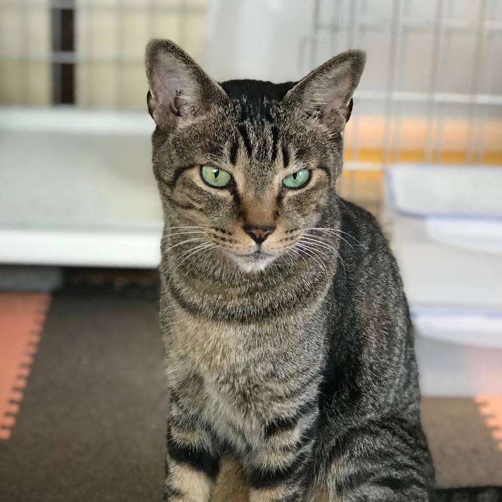 62e21c66 bfa7 4019 aae7 1b286b4dc92a