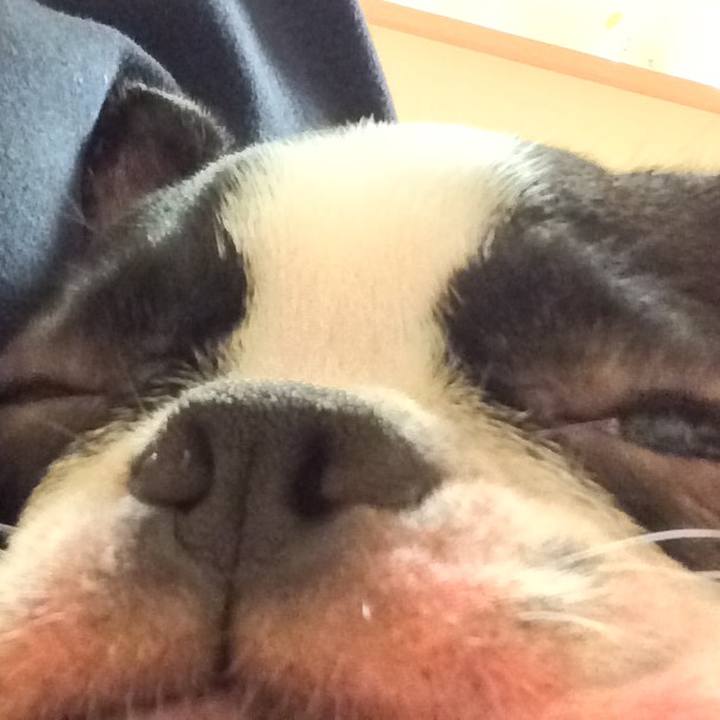 62e25e4f cced 47a9 ae97 88e027b9eaa4