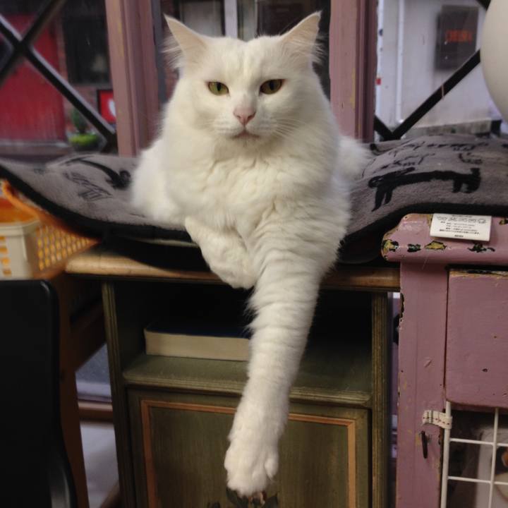 62e32db0 48d5 4358 9f80 dad14975cf16