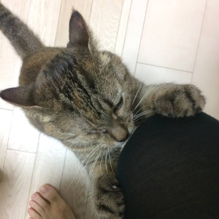 62e3f231 5a7f 46e3 8292 a551ad97a402