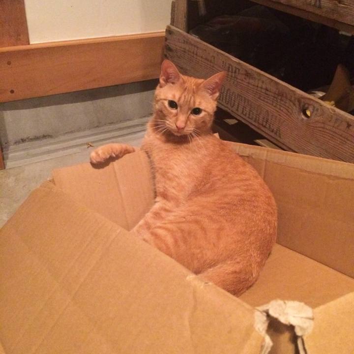 62e43f22 5590 4c6d 8bc9 b410a88aef21