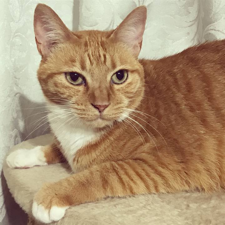 62e483aa 368e 4aad 8925 7c154d46240c