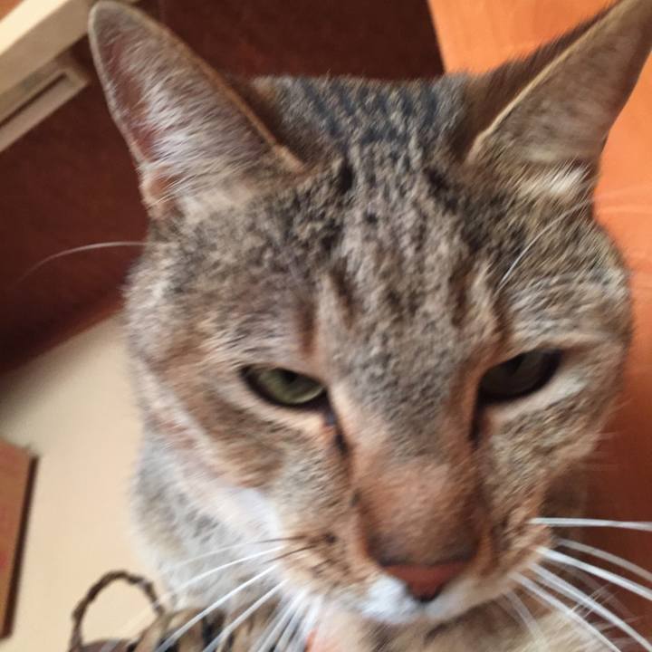 62e4dc68 52d3 4a0f a5a4 11116162a2a3