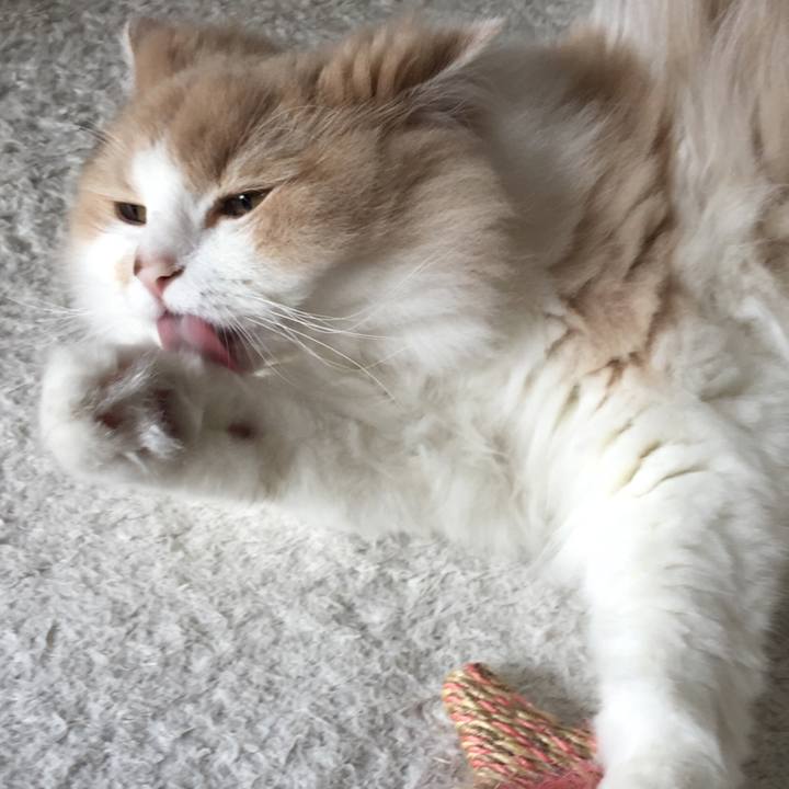 62e50a16 1880 43d2 8b5d 6e7cd133a61a