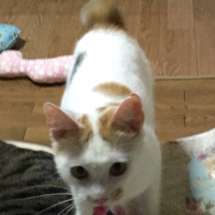 62e50bc9 22c1 4a6b 9c6f 3fcac0a9c730