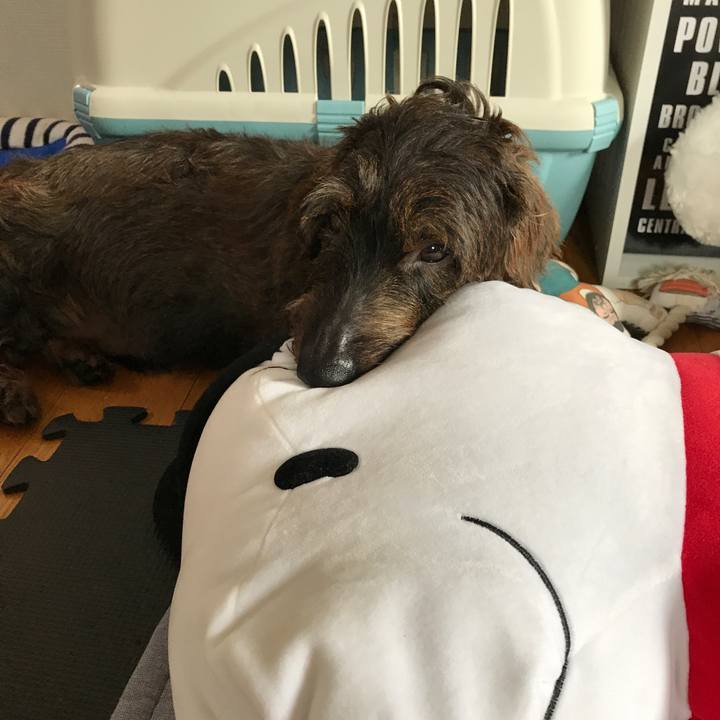 62e53df0 b9c5 41c5 9975 b60ba058a092