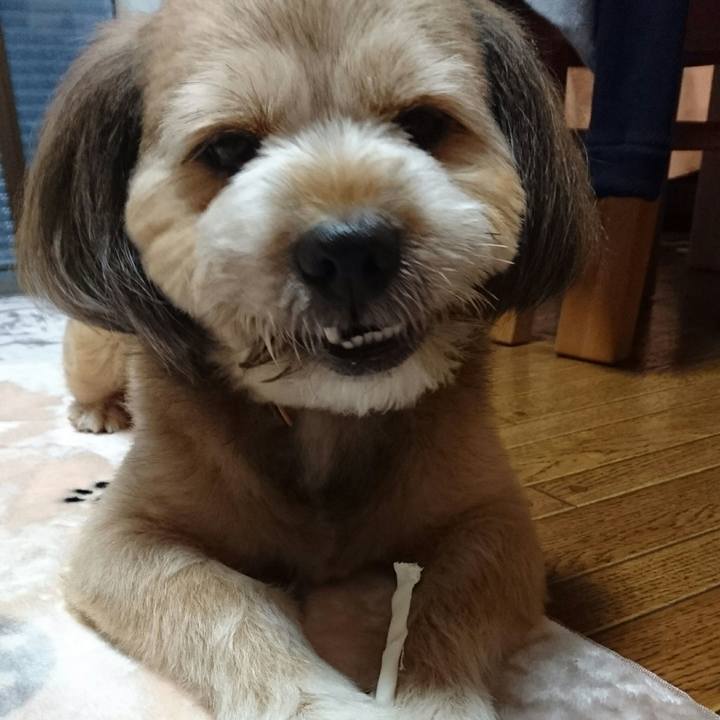 62e5b0ab 4e00 410e 85b7 32b6bc859df5