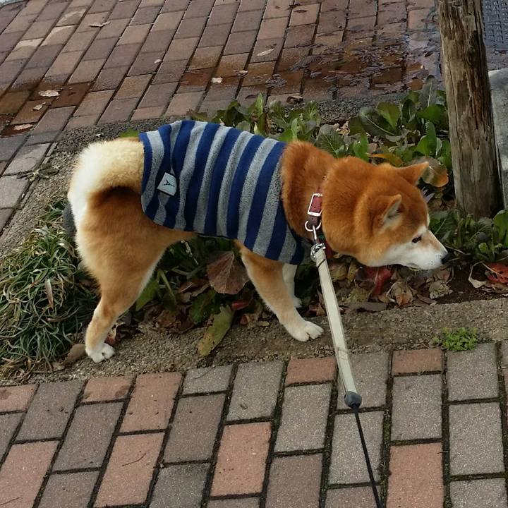 62e61f77 d078 4ece 85d4 365b786000be