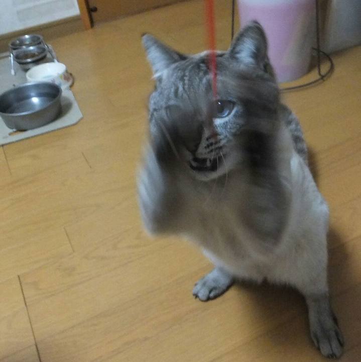 62e65561 3c0d 4fdd a6f5 4d375e9a2d1b