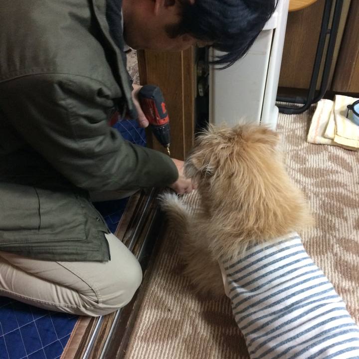 62e6d8cb f7b5 4ab0 a2a2 ef0d73942c14