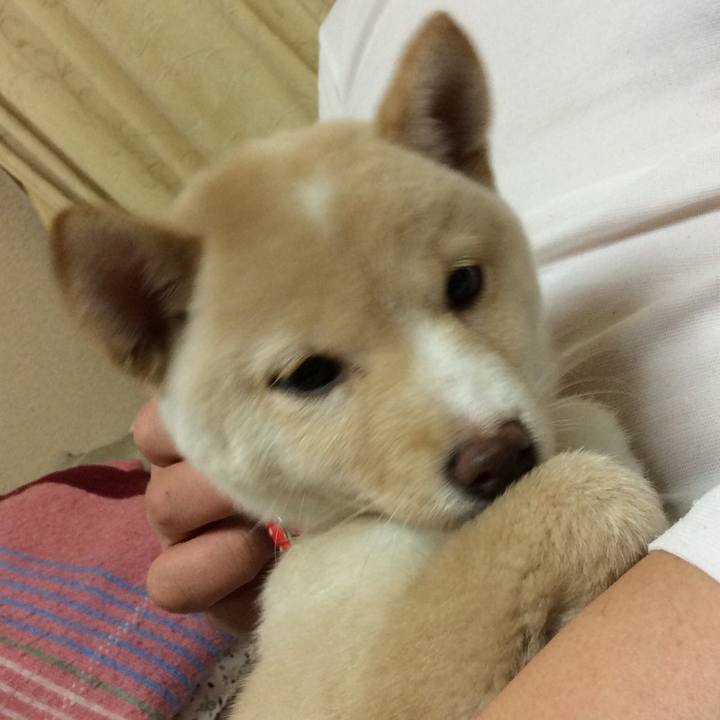 62e6eec8 62c9 4c18 abf2 7ea2ca8b3420