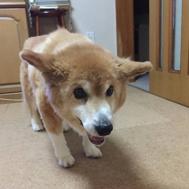 62e76e08 4d18 4ca1 a5b0 6274e31c113c