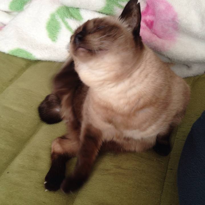 62e78cf0 76fb 423e 96be cab6c0d6f80c