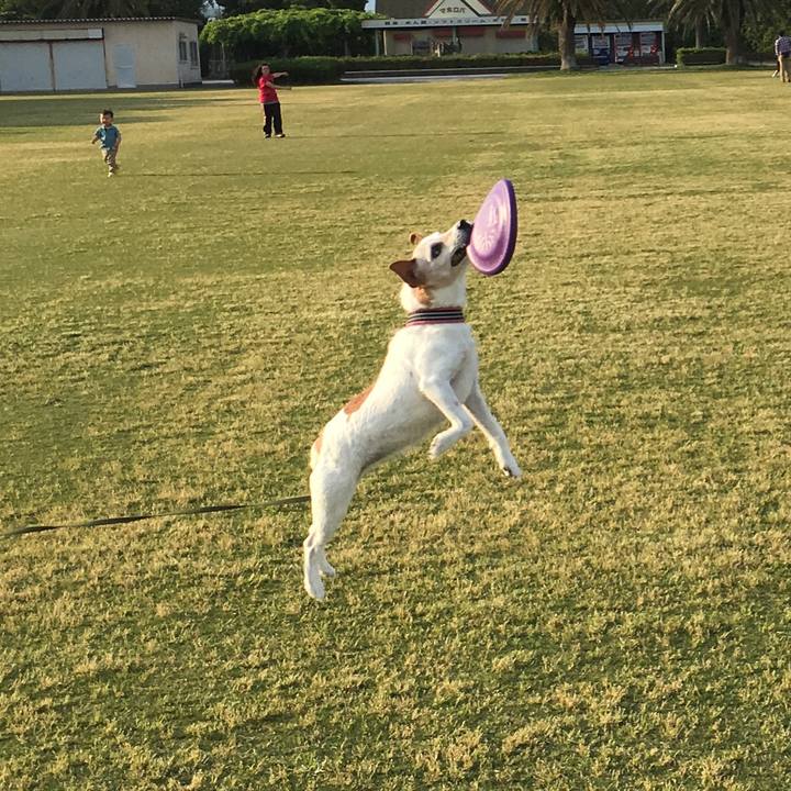 62e7f90d 7498 4145 adae 99fbe48011c9