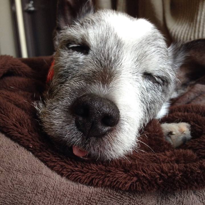 62e845e1 8eb8 426a 8cc4 3e000ffe9987