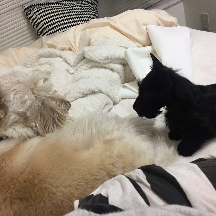 62e84fbc 2136 493c 9f55 bdd2c298312b