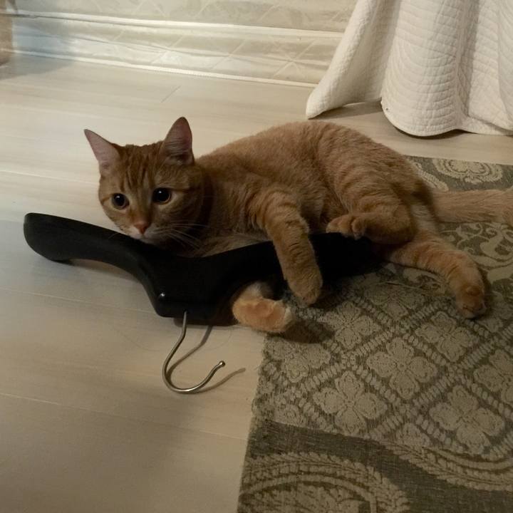 62e890bb 2582 4a22 9481 76d1675f08ce