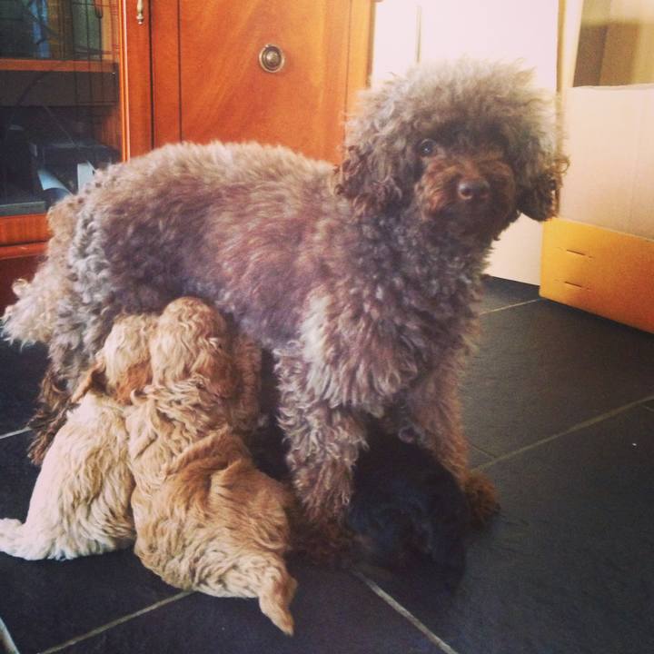 62e8bba4 6a4c 41f1 8199 7529750788b2