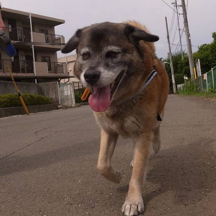 62e8c8ee 92e3 4e49 96ac ee0307f95136