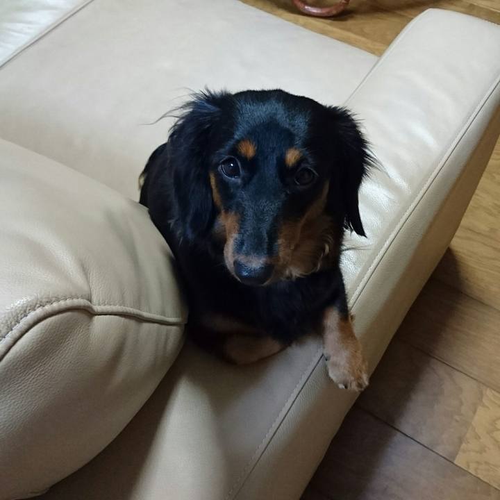 62e8f977 40b3 48d9 a625 6eb5c649a795