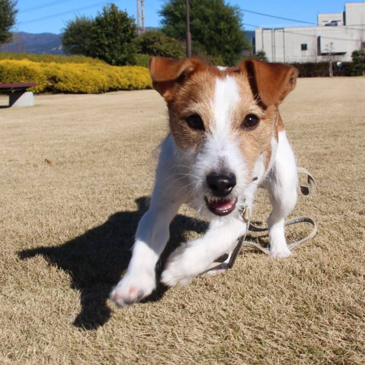 62e8f9dc a654 4518 b21c e073dfecf756