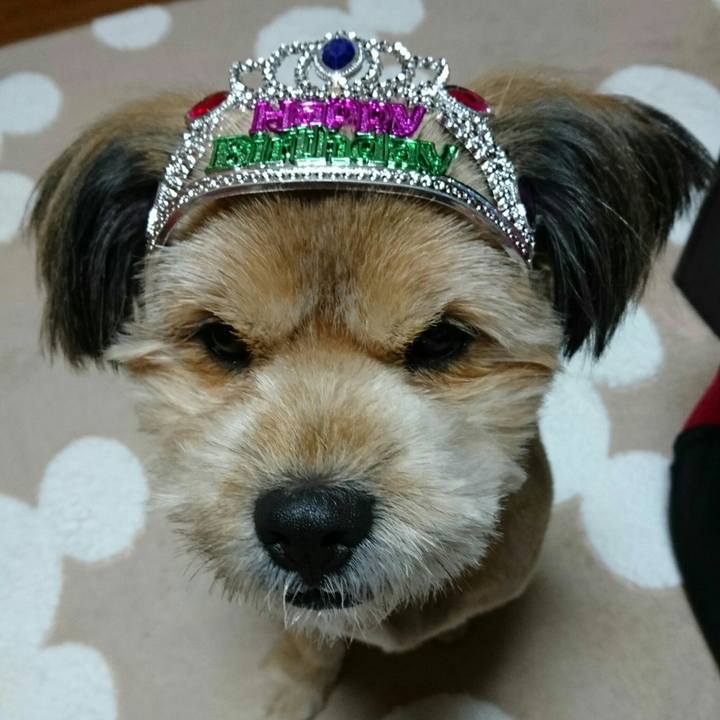 62e932d7 cae7 4392 b714 3783b8b88bcf