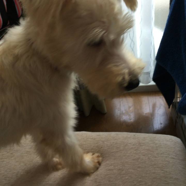 62e95993 12ee 43b9 92dd 55d1fa6651db